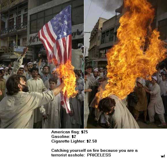 pricelessflagburner.jpg